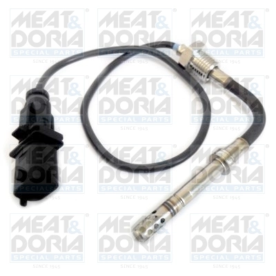 Sensor, exhaust gas temperature